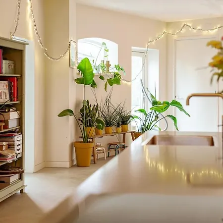 La Casa Goudacito *