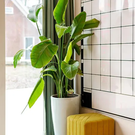 빌라 La Casa Goudacito 고우타